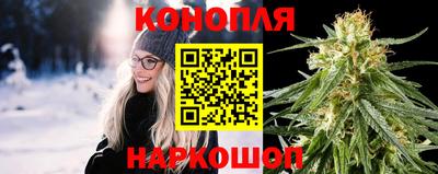 PSILOCYBIN Гусь-Хрустальный