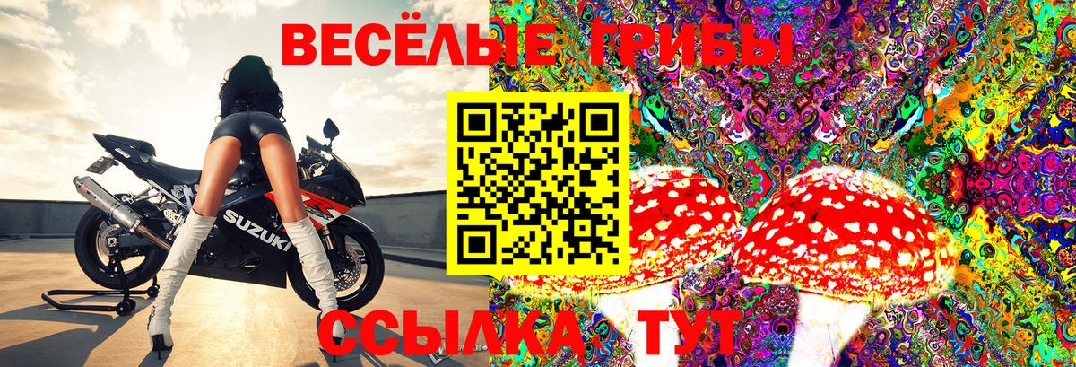 Мыски  Галлюциногенные грибы мухоморы  где купить наркотик  Псилоцибиновые грибы Magic Shrooms  Вход с VPN 